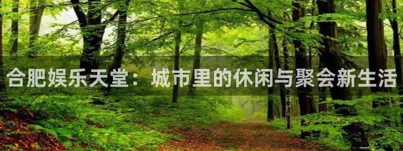 顺盈娱乐：合肥娱乐天堂：城市里的休闲与聚会新生活