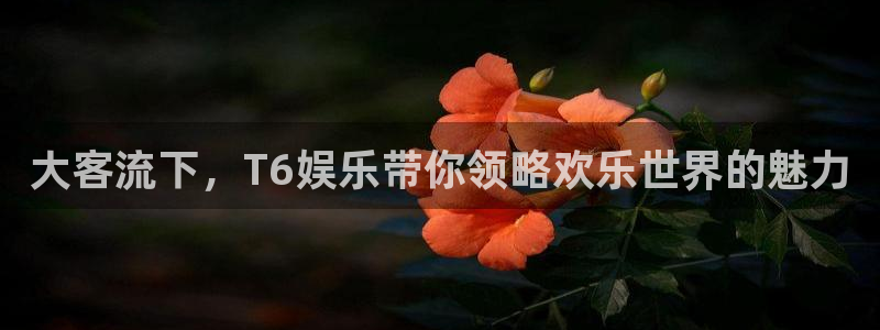顺盈娱乐：大客流下，T6娱乐带你领略欢乐世界的魅力
