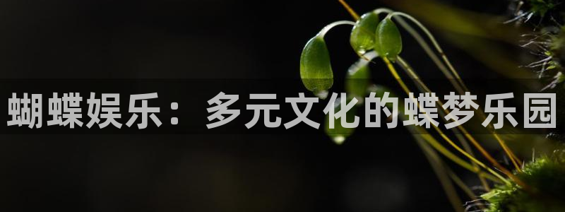 顺盈娱乐：蝴蝶娱乐：多元文化的蝶梦乐园