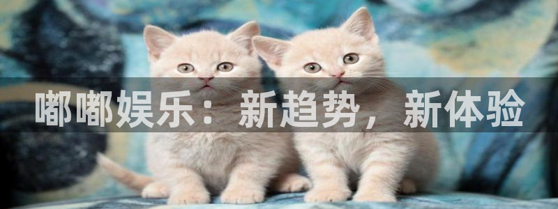 顺盈娱乐：嘟嘟娱乐：新趋势，新体验