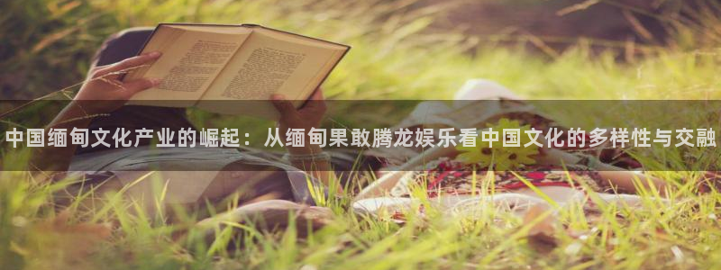 顺盈娱乐：中国缅甸文化产业的崛起：从缅甸果敢腾龙娱乐看中国文化的多样性与交融