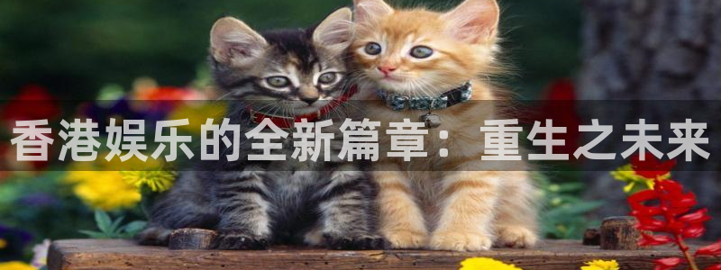 顺盈娱乐：香港娱乐的全新篇章：重生之未来