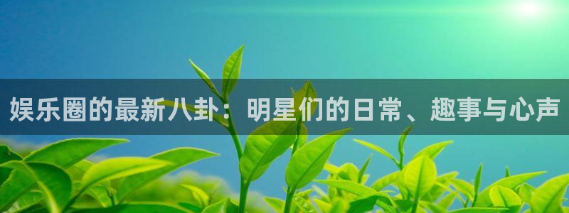 顺盈娱乐：娱乐圈的最新八卦：明星们的日常、趣事与心声
