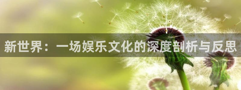 顺盈娱乐：新世界：一场娱乐文化的深度剖析与反思