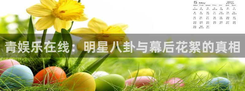 顺盈娱乐：青娱乐在线：明星八卦与幕后花絮的真相