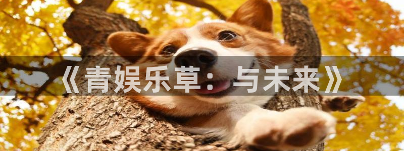 顺盈娱乐：《青娱乐草：与未来》
